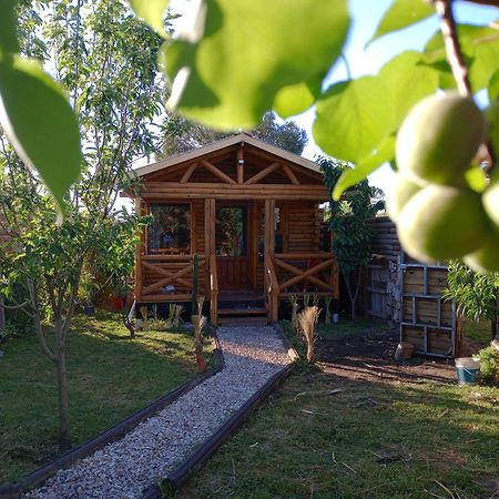 Foresta Acantilados, Casa Container Y Cabana De Troncos Mar del Plata Dış mekan fotoğraf