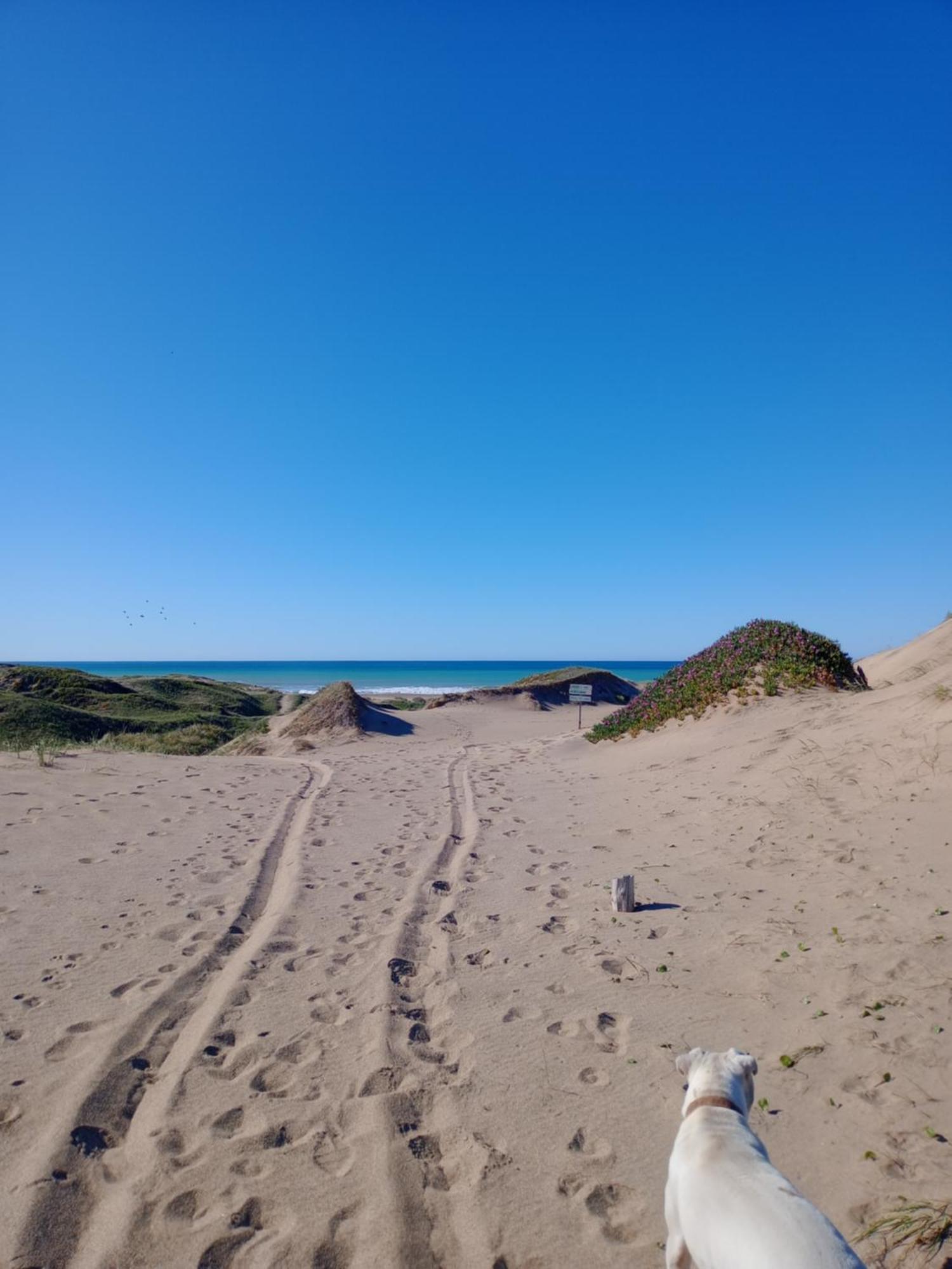 Foresta Acantilados, Casa Container Y Cabana De Troncos Mar del Plata Dış mekan fotoğraf